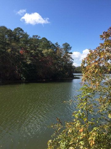 431 Us Hwy 431, Eufaula, AL 36027
